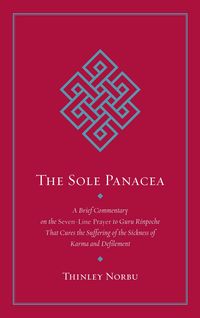 Produktbild: The Sole Panacea