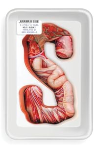 Produktbild: S (Paperback)