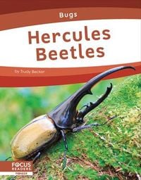 Produktbild: Hercules Beetles