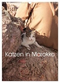 Produktbild: Katzen in Marokko (Wandkalender 2027 DIN A3 hoch), CALVENDO Monatskalender