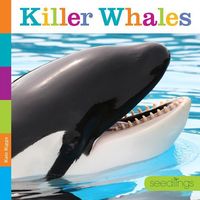 Produktbild: Killer Whales