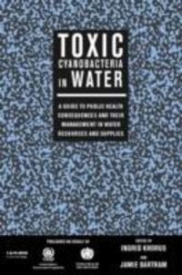 Produktbild: Mattick, P: Art In Its Time