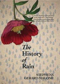Produktbild: The History of Rain