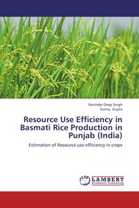 Produktbild: Resource Use Efficiency in Basmati Rice Production in Punjab (India)