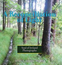 Produktbild: A Reconciliation of Light