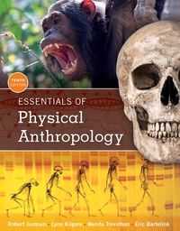 Produktbild: Essentials of Physical Anthropology