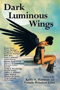 Produktbild: Dark Luminous Wings