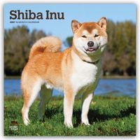 Produktbild: Shiba Inu &ndash; Shiba 2027 &ndash; 16-Monatskalender