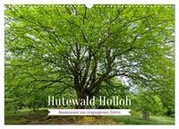 Produktbild: Hutewald Halloh - Baumriesen aus vergangenen Zeiten (Wandkalender 2027 DIN A3 quer), CALVENDO Monatskalender
