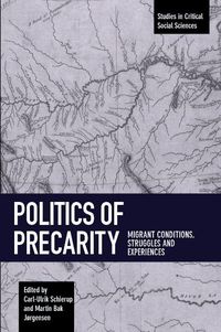 Produktbild: Politics of Precarity