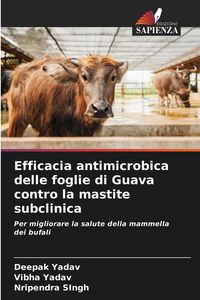 Produktbild: Efficacia antimicrobica delle foglie di Guava contro la mastite subclinica