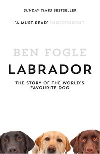 Produktbild: Labrador