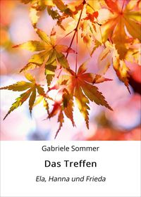 Produktbild: Das Treffen