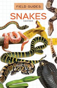 Produktbild: Hand, C: Snakes