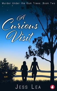 Produktbild: A Curious Visit