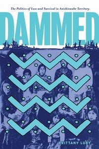 Produktbild: Dammed