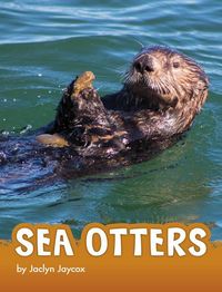 Produktbild: Sea Otters
