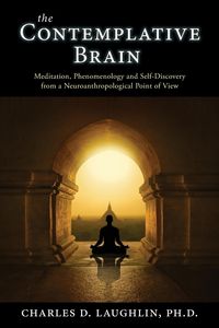 Produktbild: The Contemplative Brain: Meditation, Phenomenology and Self-Discovery from a Neuroanthropological Point of View