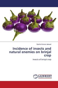 Produktbild: Incidence of insects and natural enemies on brinjal crop