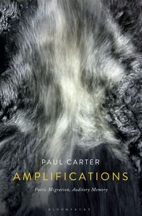 Produktbild: Amplifications