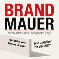 Produktbild: Brandmauer: Wie umgehen mit der AfD?