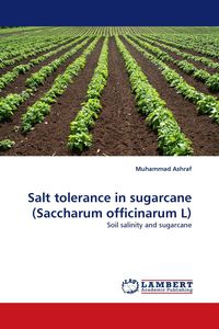 Produktbild: Salt tolerance in sugarcane (Saccharum officinarum L)