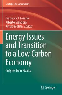 Produktbild: Energy Issues and Transition to a Low Carbon Economy