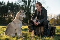 Outlander - Die komplette vierte Season (5 DVDs)