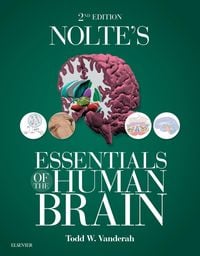 Produktbild: Nolte's Essentials of the Human Brain E-Book