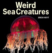 Produktbild: Weird Sea Creatures