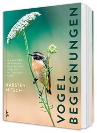 Produktbild: Vogelbegegnungen