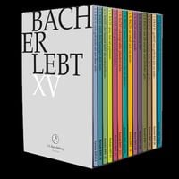 Bild vom Artikel Bach Erlebt XV vom Autor JSBach-Stiftung