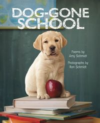 Produktbild: Dog-Gone School
