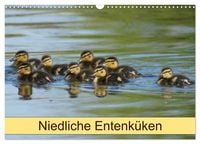 Produktbild: Niedliche Entenk&uuml;ken (Wandkalender 2026 DIN A3 quer), CALVENDO Monatskalender