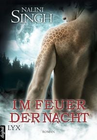 Produktbild: Im Feuer der Nacht