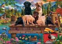 Produktbild: Hundefamilie am See