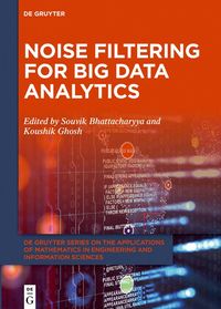 Produktbild: Noise Filtering for Big Data Analytics