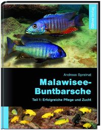 Produktbild: Malawisee-Buntbarsche