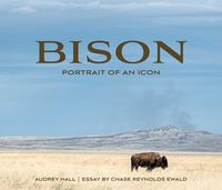 Produktbild: Bison