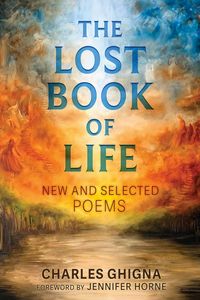 Produktbild: The Lost Book of Life