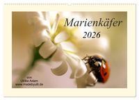 Produktbild: Marienk&auml;fer / 2026 (Wandkalender 2026 DIN A2 quer), CALVENDO Monatskalender