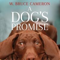Produktbild: A Dog's Promise