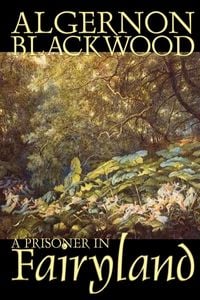 Produktbild: A Prisoner in Fairyland by Algernon Blackwood, Fiction, Fantasy, Mystery & Detective