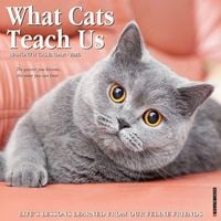 Produktbild: What Cats Teach Us 2026 Wall Calendar