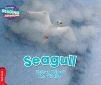 Produktbild: Cambridge Reading Adventures Seagull Red Band
