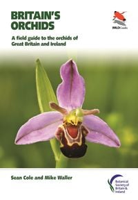Produktbild: Britain's Orchids