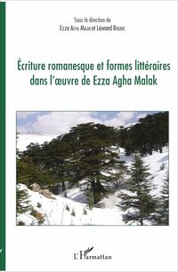 Produktbild: Ecriture romanesque et formes litt&eacute;raires dans l'oeuvre de Ezza Agha Malak