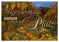 Produktbild: Augenschmaus Pfalz (Wandkalender 2026 DIN A2 quer), CALVENDO Monatskalender