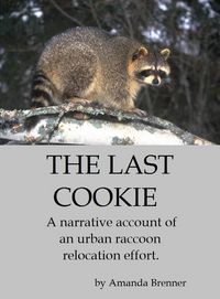 Produktbild: The Last Cookie