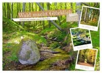 Produktbild: Wald macht gl&uuml;cklich (Wandkalender 2027 DIN A2 quer), CALVENDO Monatskalender